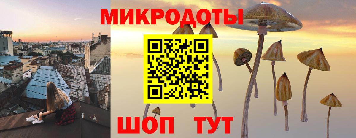 Галлюциногенные грибы Psilocybine cubensis  Вход с VPN  Большой Камень 